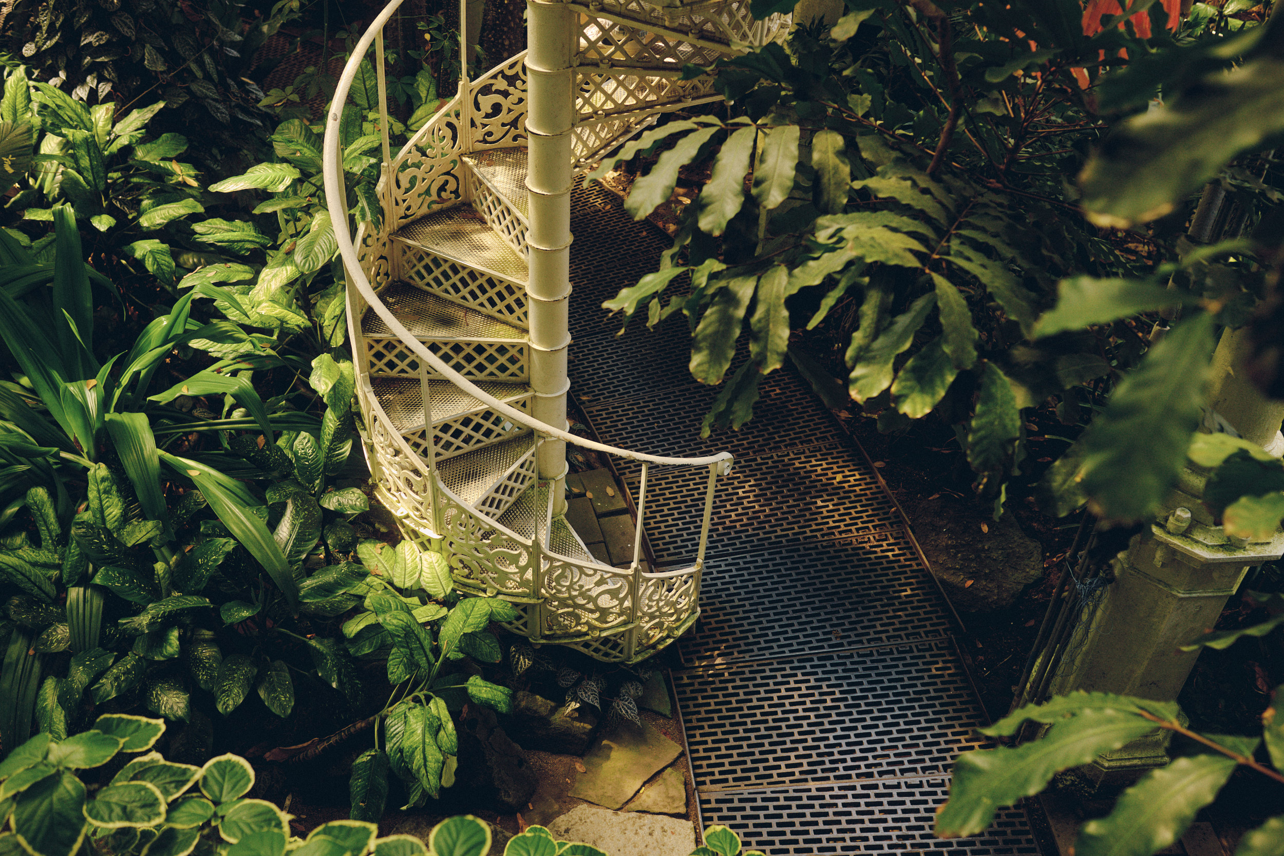 Glasshouse architecture in the Botanical Garden Copenhagen