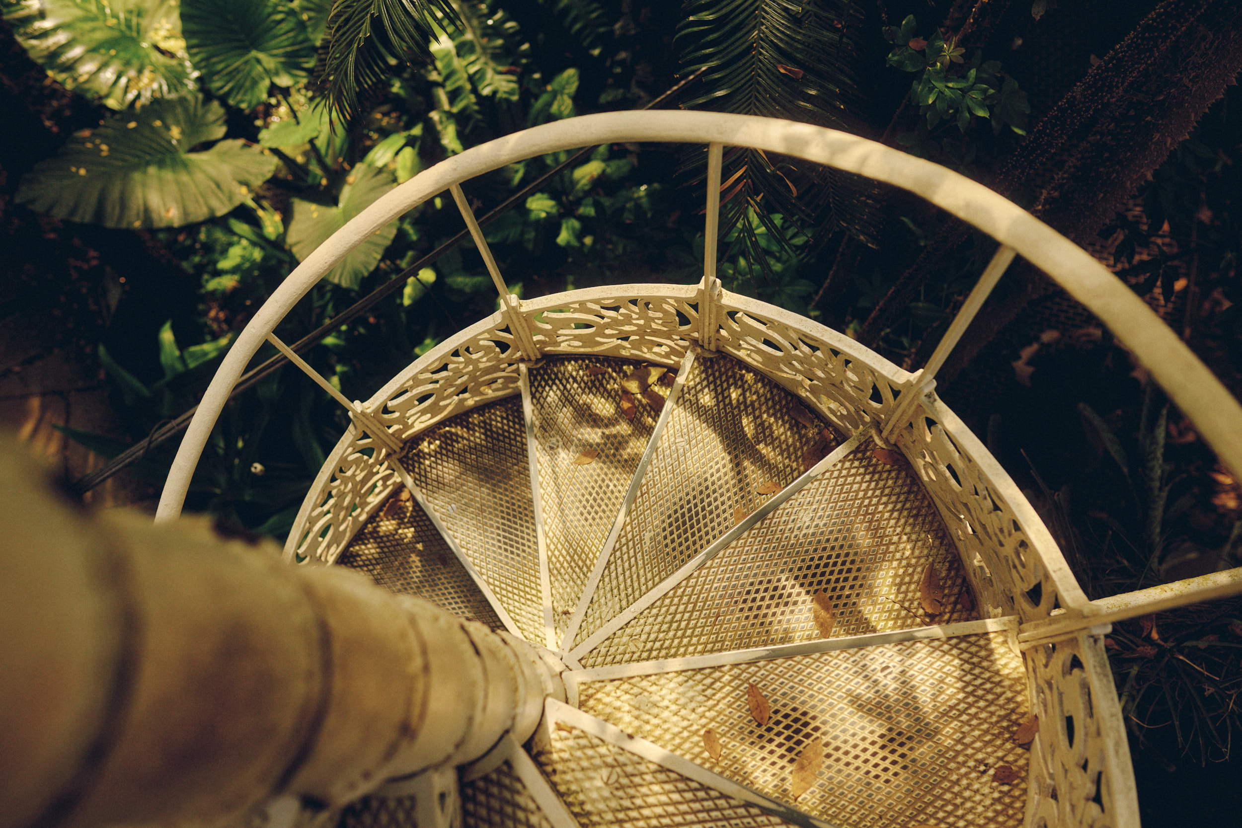 Greenhouse study of light, glass and foliage in Copenhagen