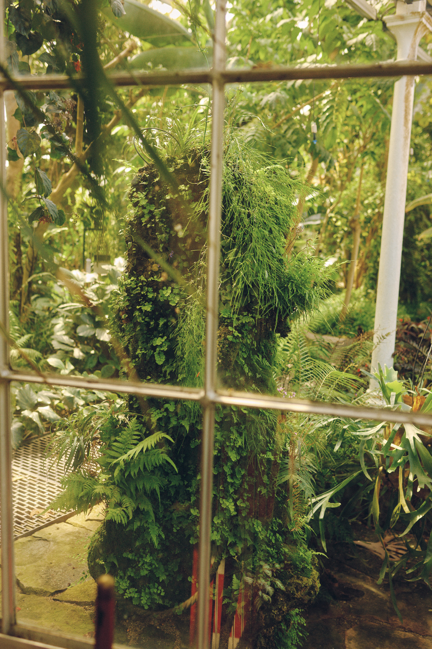 Künstlerische Architekturfotografie im Botanischen Garten Kopenhagen