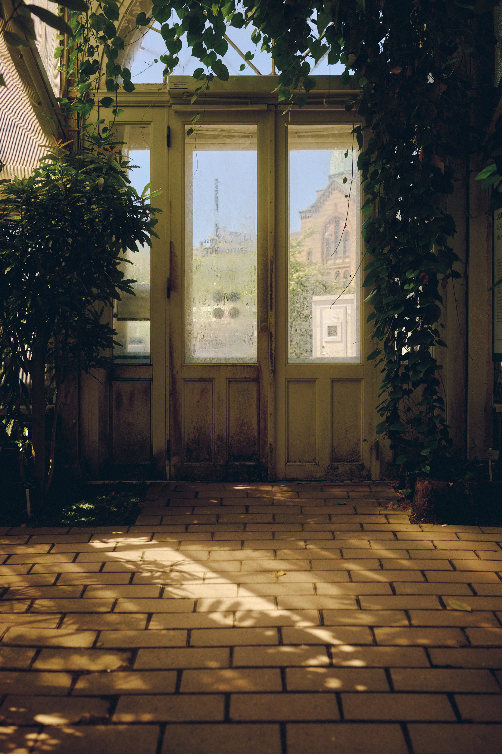 Botanischer Garten Kopenhagen mit historischem Gewächshaus aus Glas und Eisen