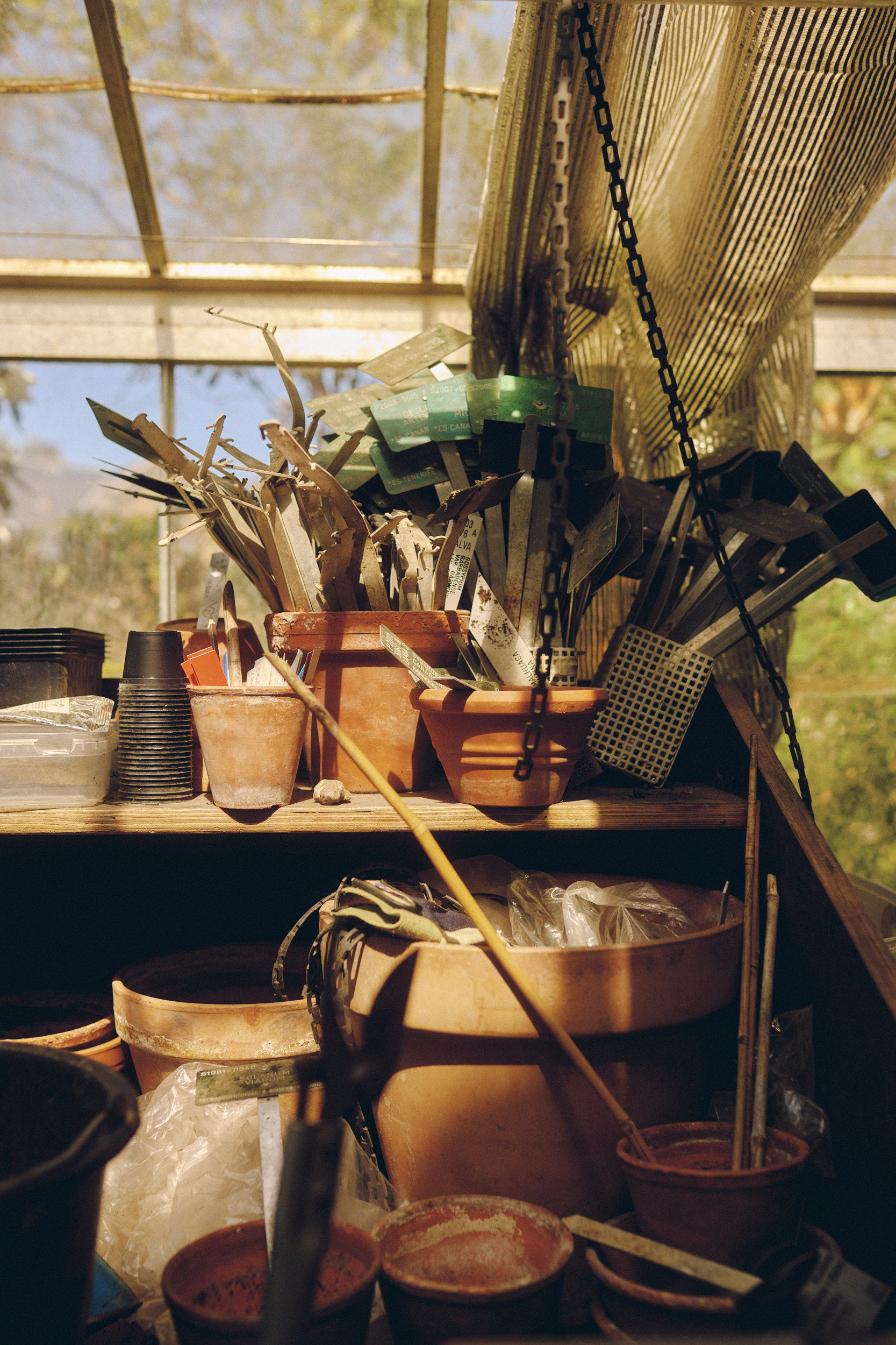 Historic greenhouse interior at Copenhagen Botanical Garden