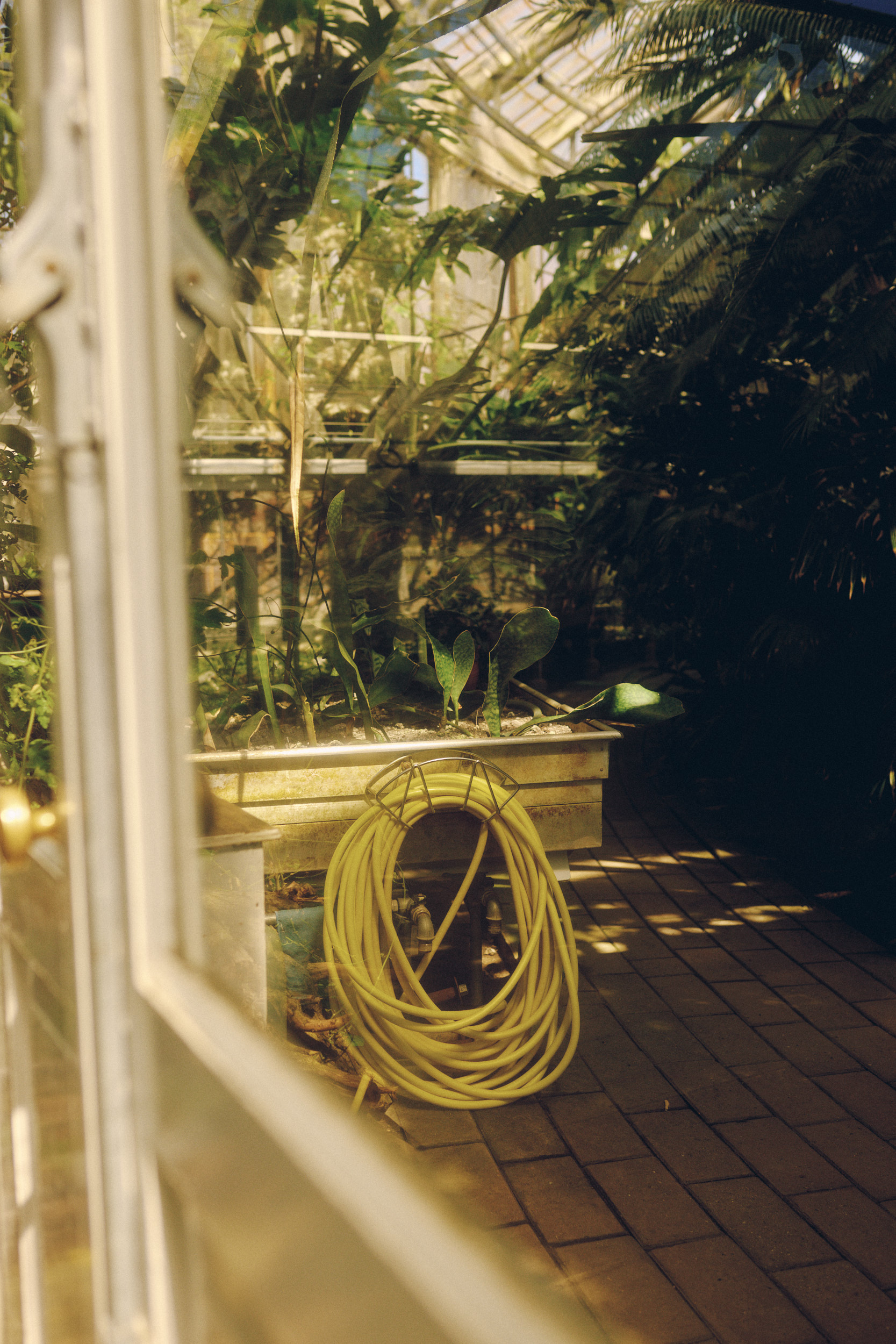 Historic greenhouse interior at Copenhagen Botanical Garden