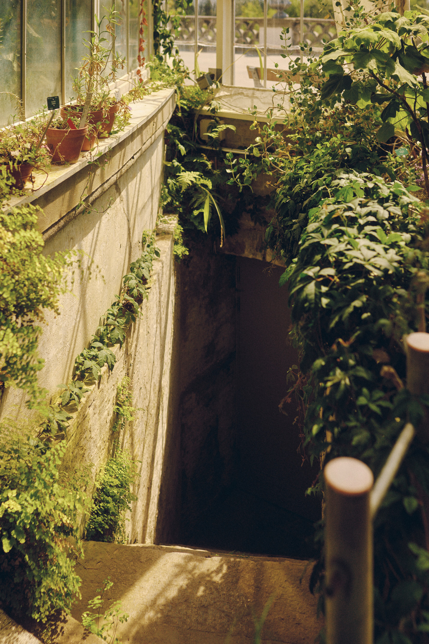 Architectural details of the Copenhagen Botanical Garden greenhouse